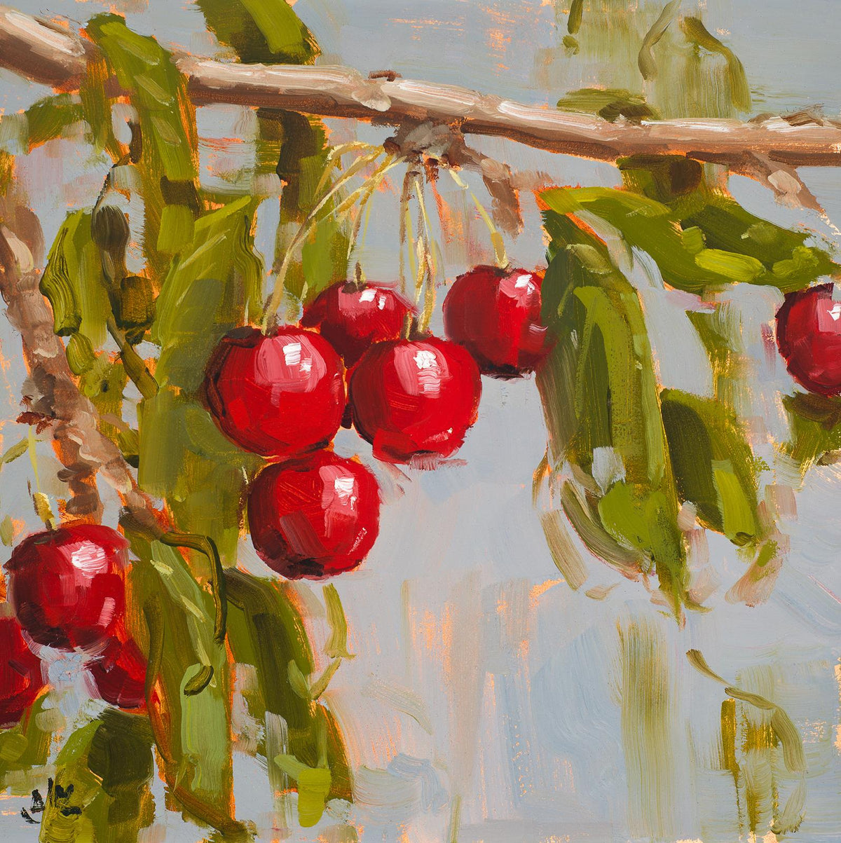 Cherries