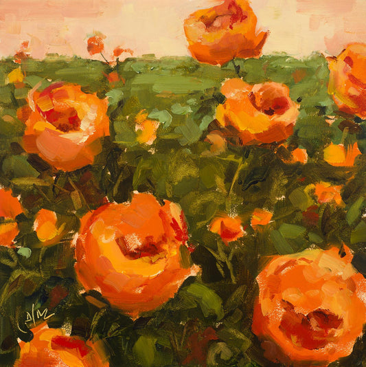 Peony Field